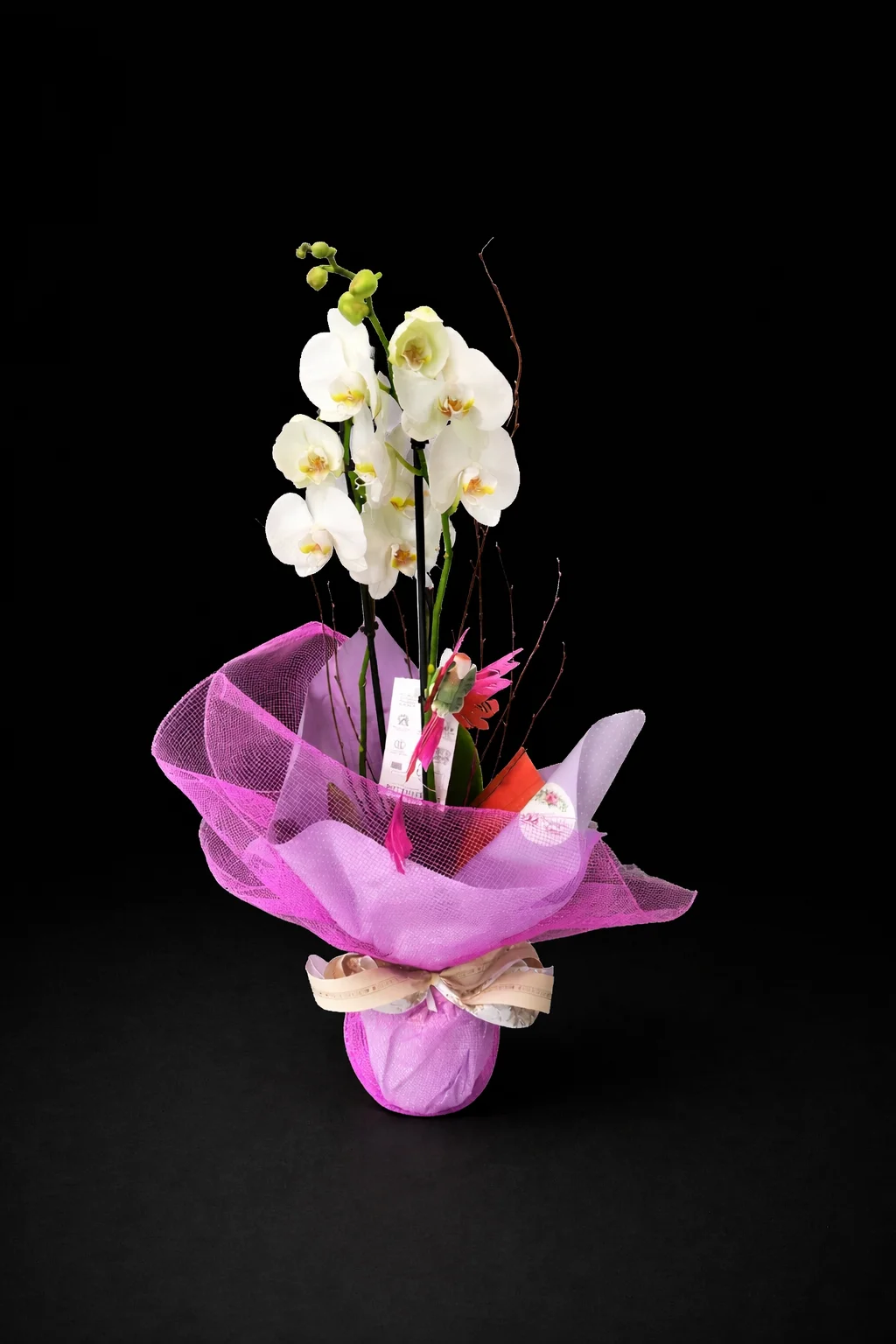Orquídea 3 varas